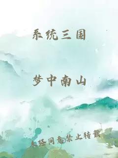 系统三国