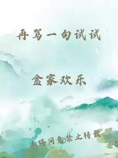 再骂一句试试